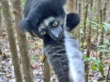 Madagaskar_01-7