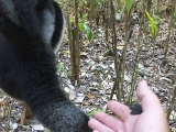 Madagaskar_01-9