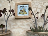 Mallorka_90