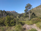Malorka_09