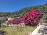 Malorka_112