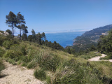 Malorka_27