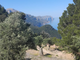 Malorka_36