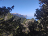 Malorka_40