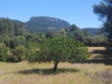 Malorka_56