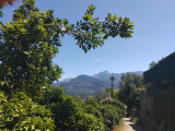 Malorka_97