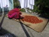 Manaslu-253