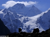 Manaslu-685