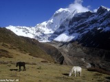 Manaslu-700