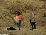 Manaslu-710
