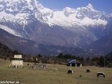 Manaslu-332