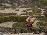 Manaslu-390