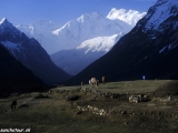 Manaslu-659