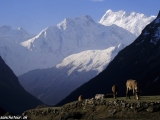 Manaslu-669