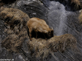 Manaslu-200
