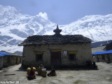 Manaslu-282
