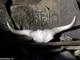 Manaslu-245