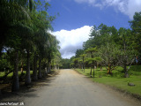 Mauricius-221