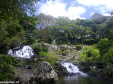 Mauricius-290