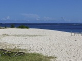 mauricius_06