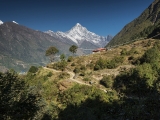 Mera Peak_008