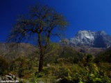 Mera-Peak-18