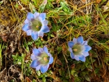 20191026_143914