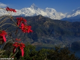 Machapuchre - Rybí chvost 6993 m.n.m. posvätný kopec Nepálu...