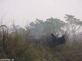 Nepal-India-119