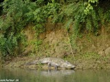 Nepal-India-128