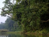 Nepal-India-133