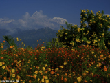 Nepal-India-351