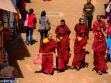 Mnísi v Budhanáte...