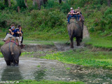 Výlet na slonoch do džungle NP Chitwan...