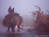 Hmlisté ráno v NP Chitwan...