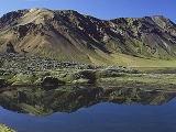 island_24