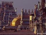 juzna_india_87