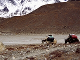 nepal_4