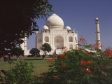 001 (231)