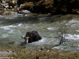 Bhutan-073