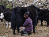 Bhutan-205