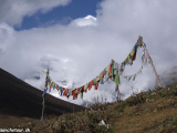 Bhutan-270