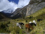 Bhutan-281