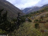Bhutan-372