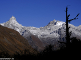 Bhutan-396