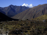 Bhutan-428
