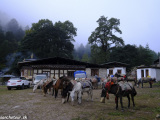 Bhutan-45
