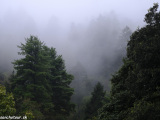 Bhutan-55