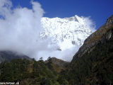 Bhutan-573