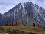 Bhutan-667